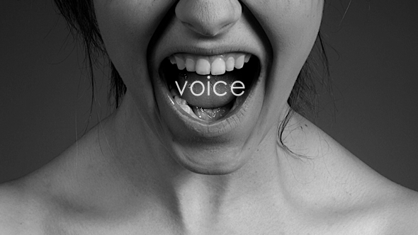 voice 2